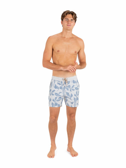 Hurley Phantom Naturals Sessions 16"