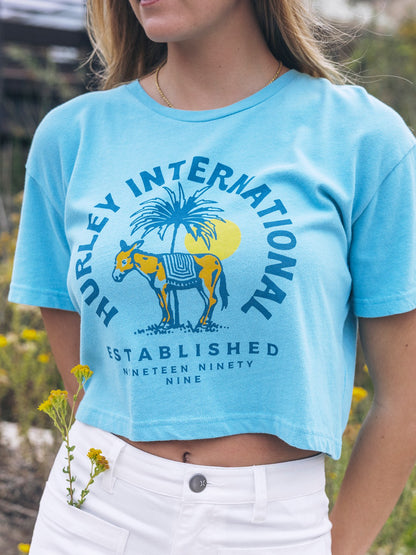 Hurley Burro Boxy Crop Tee