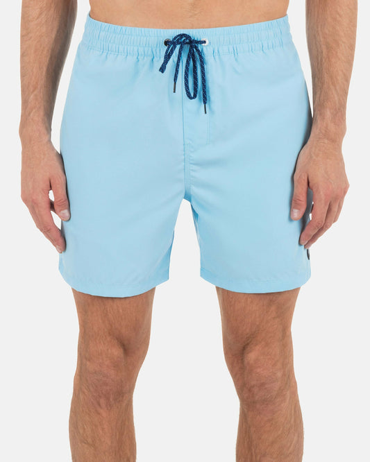 Hurley Icon Balboa Volley Boardshorts 17"