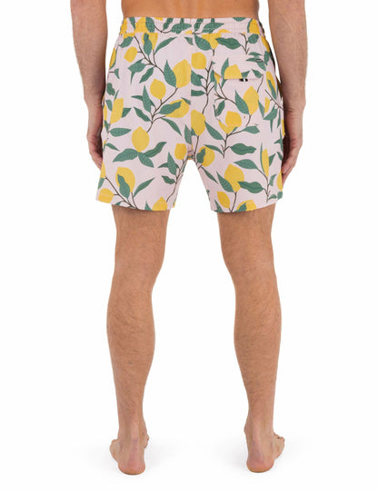 Hurley Phantom Eco Poolside Combo 16"