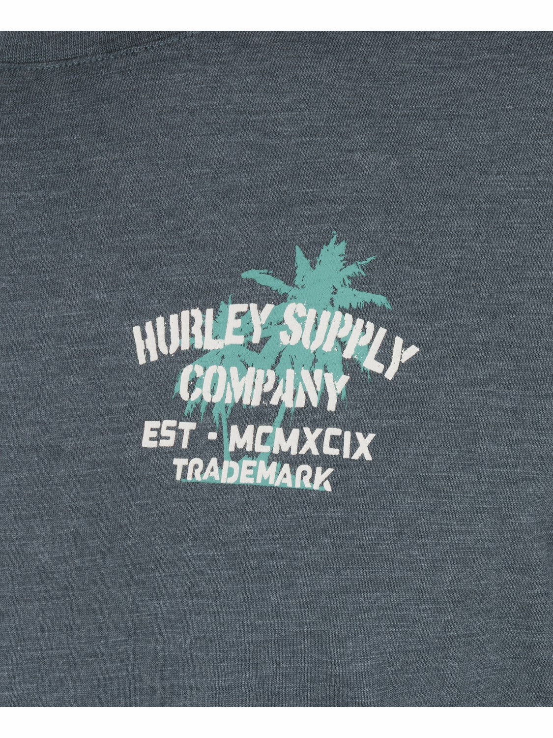 Hurley Shape Shack Slub Short Sleeve
